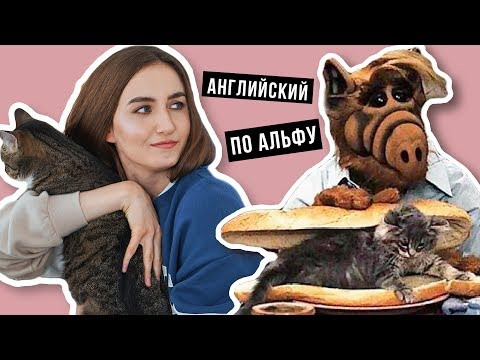 Английская грамматика по сериалу Альф (для продолжающих) │ English Spot - разговорный английский