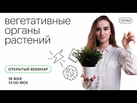 Вегетативные органы растений | ЕГЭ БИОЛОГИЯ 2021 | Онлайн-школа СОТКА Вегетативные органы растений | ЕГЭ БИОЛОГИЯ 2021 | Онлайн-школа СОТКА
