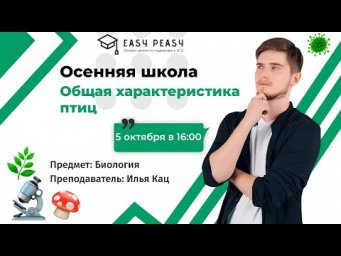 Общая характеристика птиц | Илья Кац | Онлайн-школа EASY PEASY | ОГЭ биология