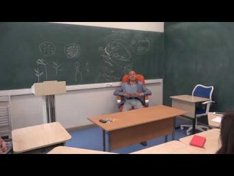 34. Видоизменения корней в тестах ЕГЭ по биологии
