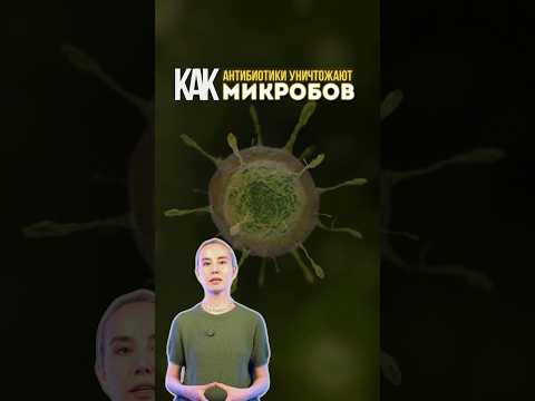 насколько часто вы принимаете антибиотики?