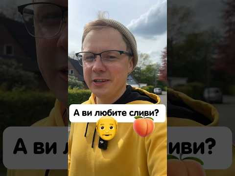 «die Pflaume» перекладається не лише як «слива»? #німецька #німецькамова #вчительукраїнської «die Pflaume» перекладається не лише як «слива»? #німецька #німецькамова #вчительукраїнської