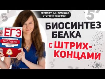 Новый тип задач № 27 | ЕГЭ по биологии