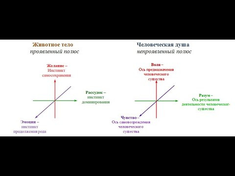 Что такое хорошо и что такое плохо.  Часть  2