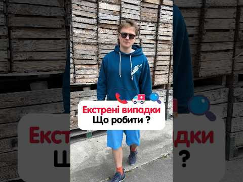 Куди дзвонити в Німеччині у випадку &laquo;насильства над жінками&raquo;? #німецька #німецькамова