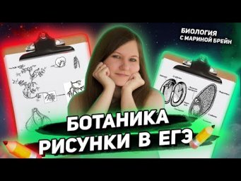 БОТАНИКА РИСУНКИ В ЕГЭ