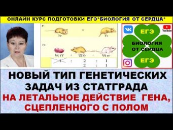 НОВЫЙ ТИП ГЕНЕТИЧЕСКОЙ ЗАДАЧИ ИЗ СТАТГРАДА С ЛЕТАЛЬНЫМ ДЕЙСТВИЕМ ГЕНА, СЦЕПЛЕННОГО С ПОЛОМ