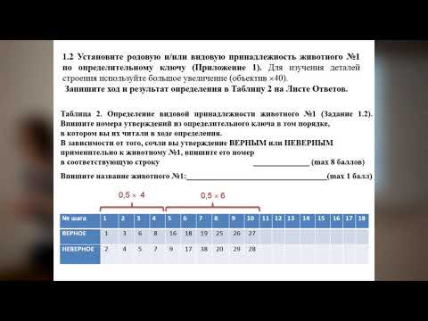 Разбор заданий ЗЭ 2019   Зоология беспозвоночных   9 класс