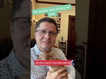 &iexcl;A OTRO PERRO CON ESE HUESO!