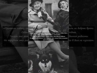 Могила Раневской на Новом Донском