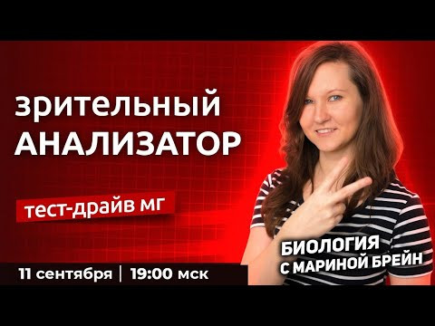 ЗРИТЕЛЬНЫЙ АНАЛИЗАТОР | Тест-драйв мастер-группы лайт. День 2