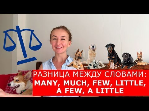 Разница между словами: many, much, few, little, a few, a little. Английский для путешествий Разница между словами: many, much, few, little, a few, a little. Английский для путешествий