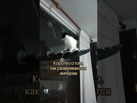 Сам себе враг #история #историяегэ #историческиемемы #империя Сам себе враг #история #историяегэ #историческиемемы #империя