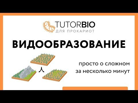 Видообразование: географическое и экологическое за 10 минут