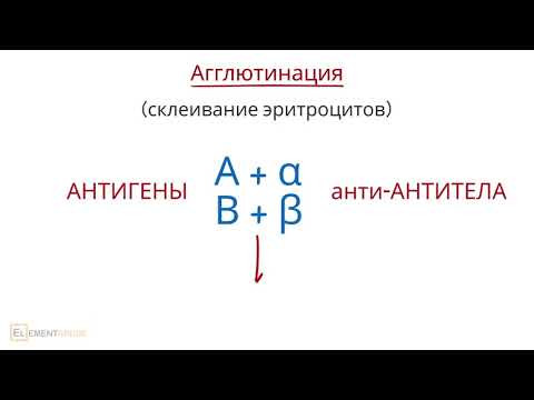 Группы крови