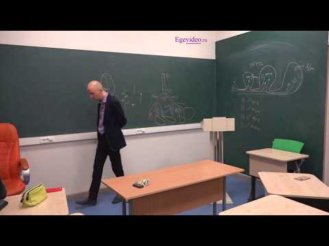 23. Роды и живорождение у птиц: возможно ли? Вопросы ЕГЭ!