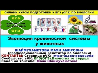 ЭВОЛЮЦИЯ КРОВЕНОСНОЙ СИСТЕМЫ У ЖИВОТНЫХ