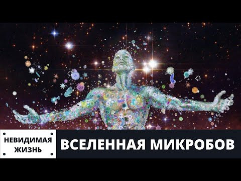Невидимая жизнь Вселенная микробов Невидимая жизнь Вселенная микробов