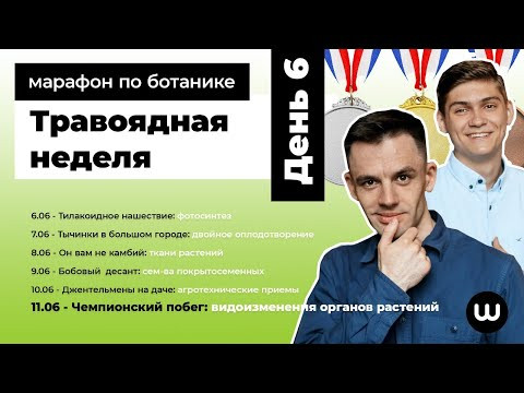 ВИДОИЗМЕНЕНИЯ ОРГАНОВ РАСТЕНИЙ | ЕГЭ Биология 2020 | Даниил Дарвин | Вебиум