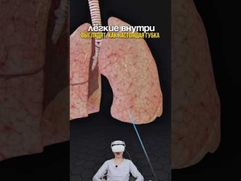 а вы знали про этот факт?