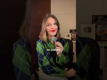 НУ, СОБАКИ