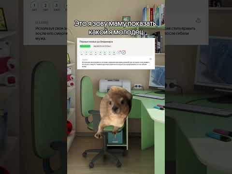 полезная ссылка для тех, кто готовится к ЕГЭ в описании  #егэ2025 #история #егэ #мем #мемы