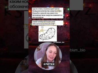 кому нравятся Очень странные дела, ставят лайк! мой тгк: webium_bio #биология #егэ #химбио