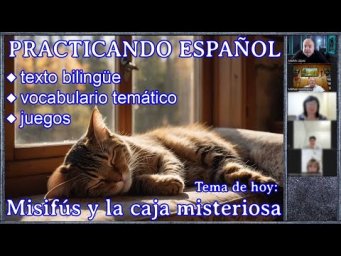 Misif&uacute;s y la caja misteriosa (Nivel B1)