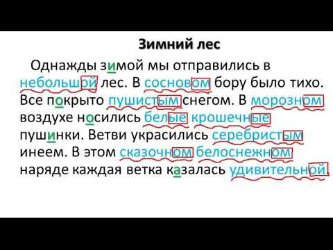 6 класс РЯ 6-я неделя. Разбор ДЗ