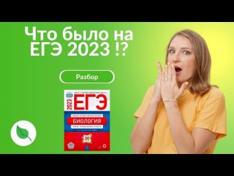 Что было на ЕГЭ 2023!?