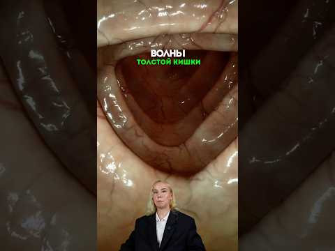 мой тг: bio100ege, все шпаргалки для егэ тут❤️  #биология #сотка #животные #егэ