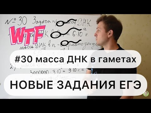 Новые задачи ЕГЭ по биологии 2022 I Задание №30 Масса ДНК