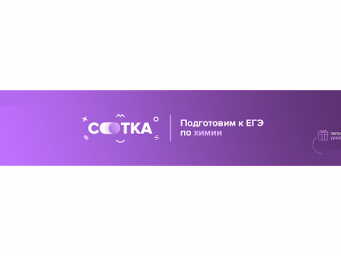 Амфотерность | ЕГЭ  ХИМИЯ 2020 | Онлайн-школа СОТКА