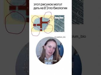 ещё больше всего полезного в тгк: webium_bio #биология #биологияегэ #егэ