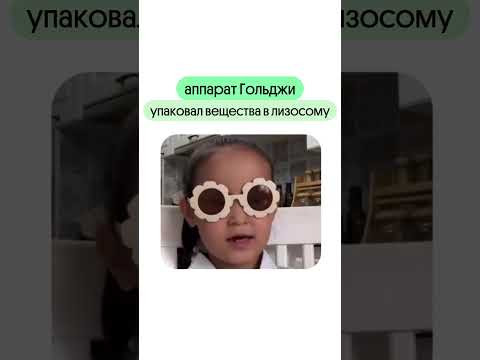 Забирай 