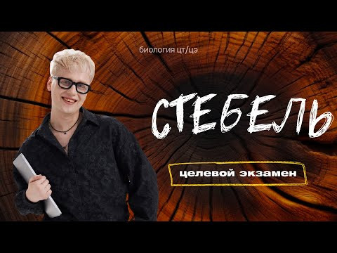 СТЕБЕЛЬ | Целевой экзамен СТЕБЕЛЬ | Целевой экзамен