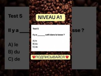 Test 5 NIVEAU A 1 #французскийснуля #французскийонлайн #французскийпополочкам #учитьфранцузский