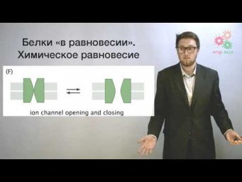 Введение. Физика и биологические макромолекулы (без музыки)