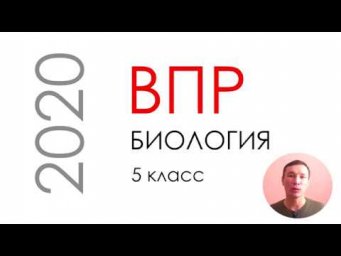ВПР биология 5 класс 2020