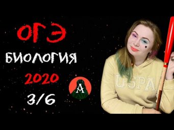 ПОДГОТОВКА К ОГЭ БИОЛОГИЯ 2020. Ботаника. 3/6