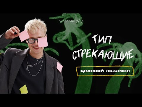 ТИП СТРЕКАЮЩИЕ. ГИДРА | Целевой экзамен ТИП СТРЕКАЮЩИЕ. ГИДРА | Целевой экзамен