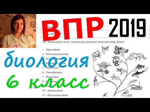 Всероссийская проверочная работа по биологии 6 класс 2019