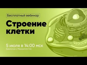 СТРОЕНИЕ КЛЕТКИ ОГЭ|ЕГЭ БИОЛОГИЯ