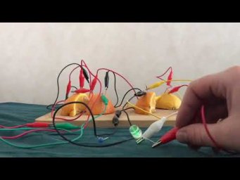 Фруктовая батарейка