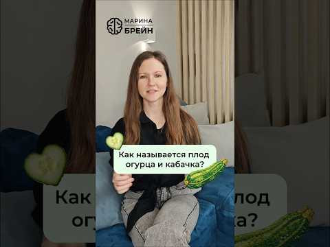 photo photo