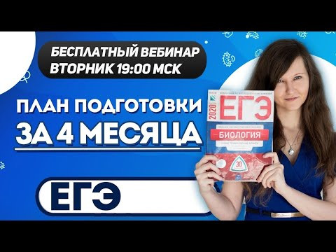 План подготовки к ЕГЭ за 4 месяца План подготовки к ЕГЭ за 4 месяца
