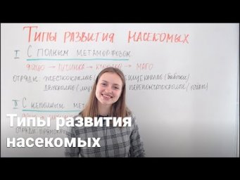 Типы развития насекомых