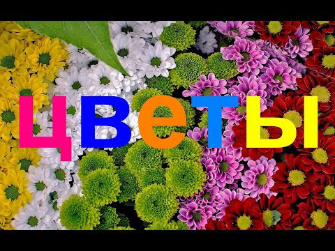 Русский для среднего уровня: НАЗВАНИЯ ЦВЕТОВ