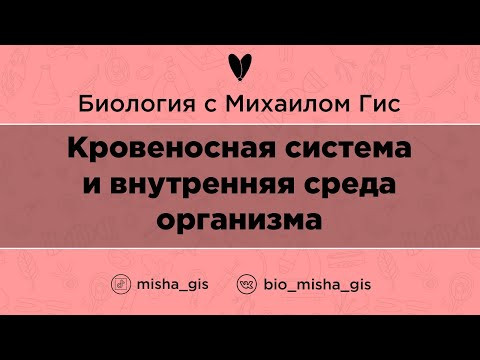 Кровеносная система и внутренняя среда организма  | ЕГЭ ОГЭ Биология с Михаилом Гис