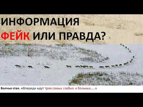 Информация. Виды, формы, свойства, знания.